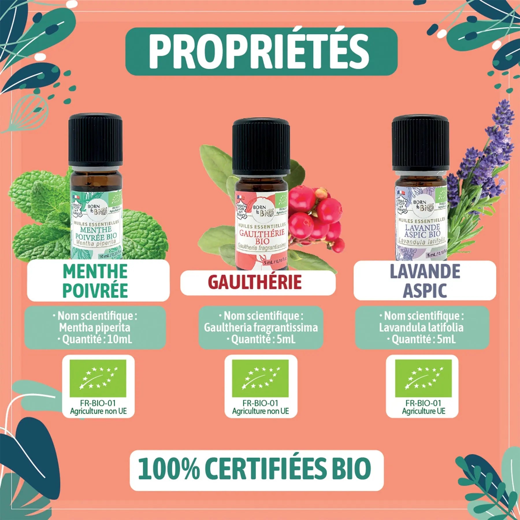 Coffret thématique tracas du quotidien-2