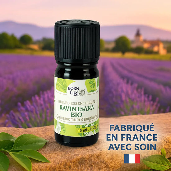 Huile essentielle Ravintsara Certifiée Bio Born to Bio