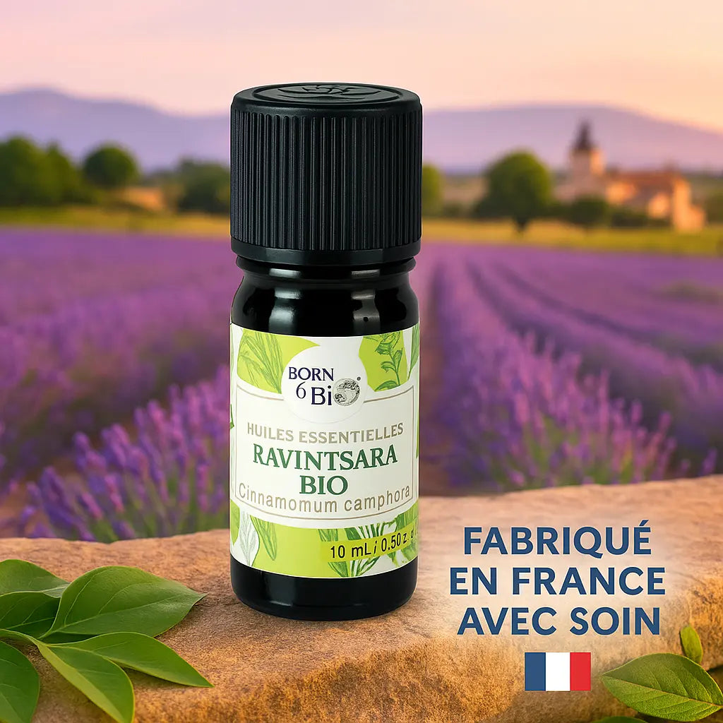 Huile essentielle Ravintsara Certifiée Bio Born to Bio