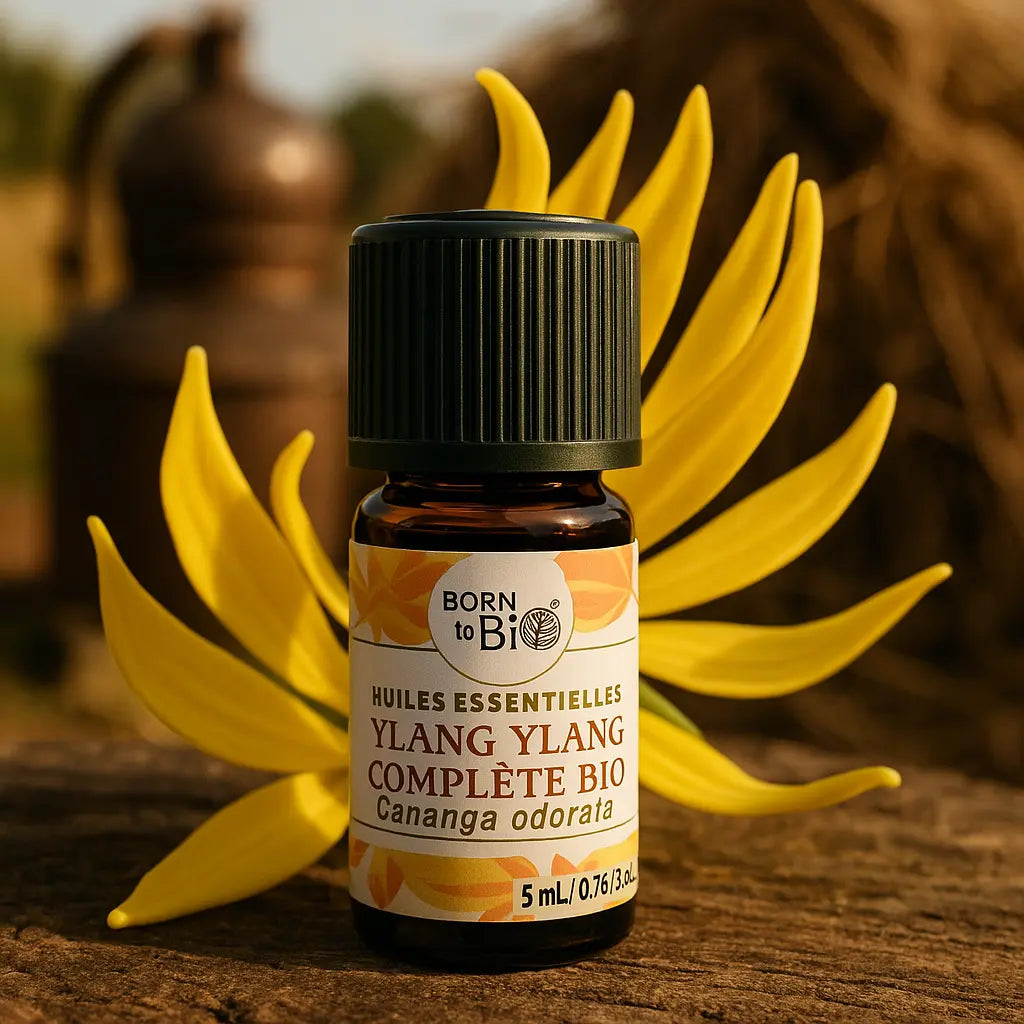Huile essentielle Ylang ylang complète Bio Born to Bio