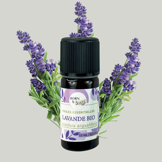 Huile essentielle Lavande vraie Bio