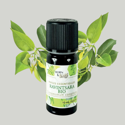 Huile essentielle Ravintsara Certifiée Bio Born to Bio
